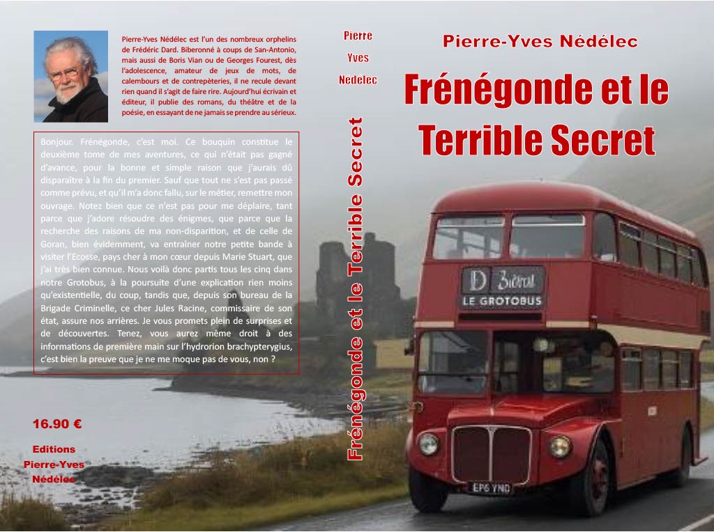 Couverture de Frénégonde et le Terrible Secret